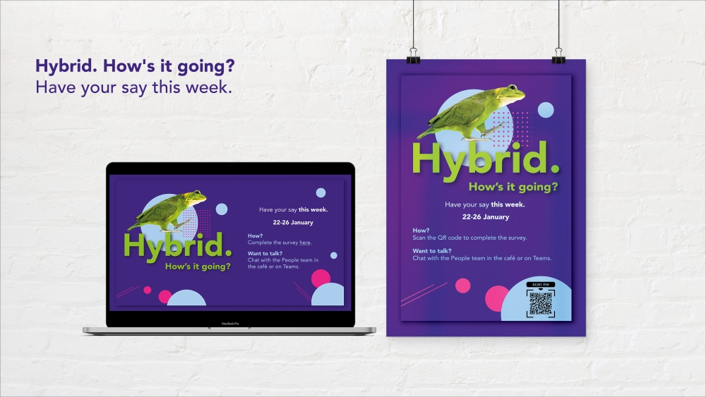 Hybrid survey poster with timeboxing.